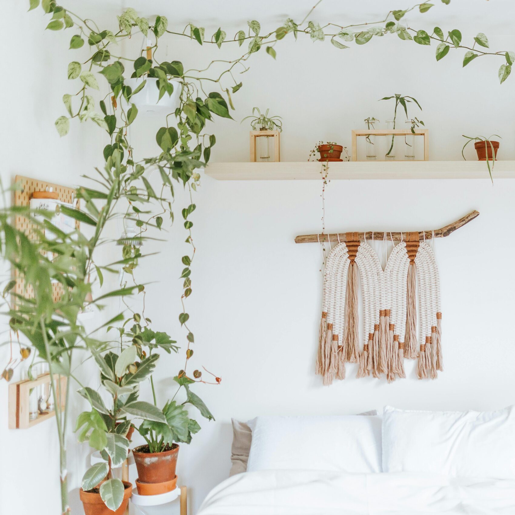 A serene bedroom adorned with hanging plants, minimalist decor, and a cozy ambiance.